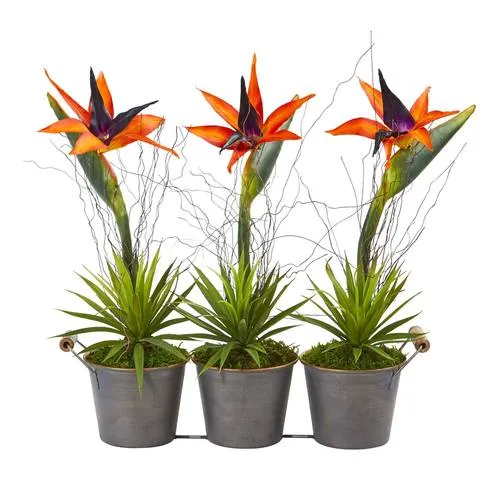 14" Bird of Paradise and Succulent Artificial Arrangement in Trio Metal Planter