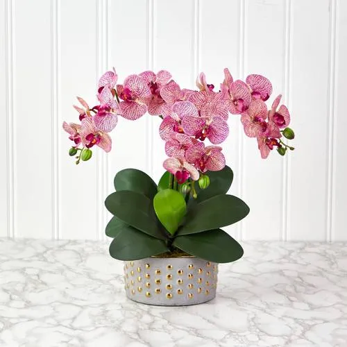 17" Phalaenopsis Orchid Artificial Arrangement in Bowl with Gold Trimming