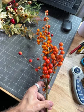 28In Berry Spray PA2373 ORG