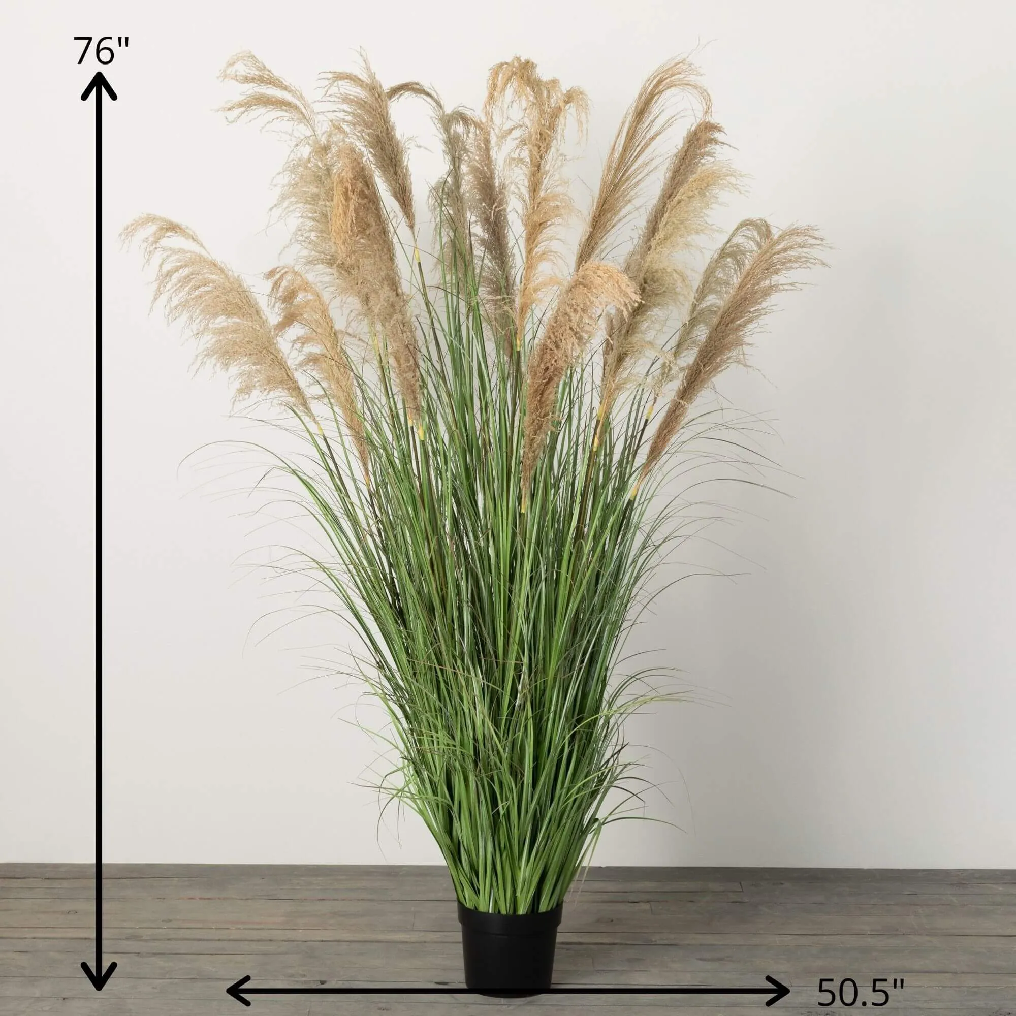 6'4"H Sullivans Towering Potted Plume Grass, Multicolored