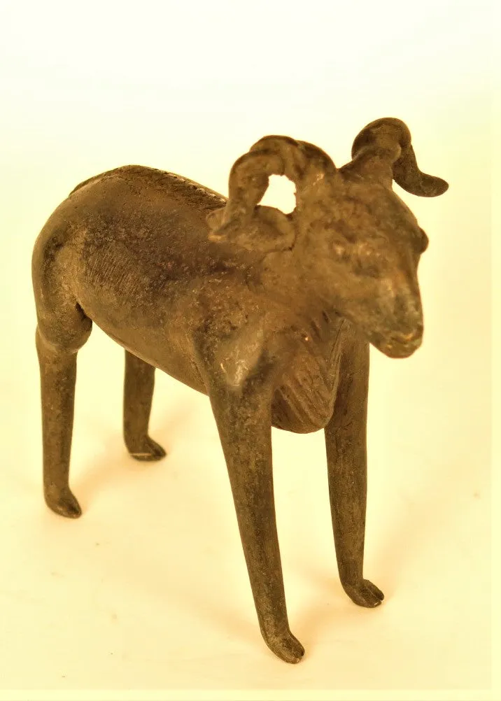 African Bronze Goat