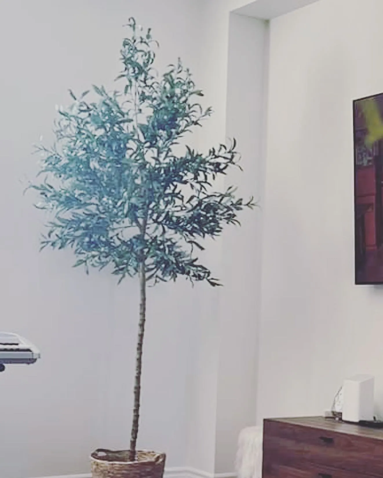 Artificial Olive Tree (7.5 ft)