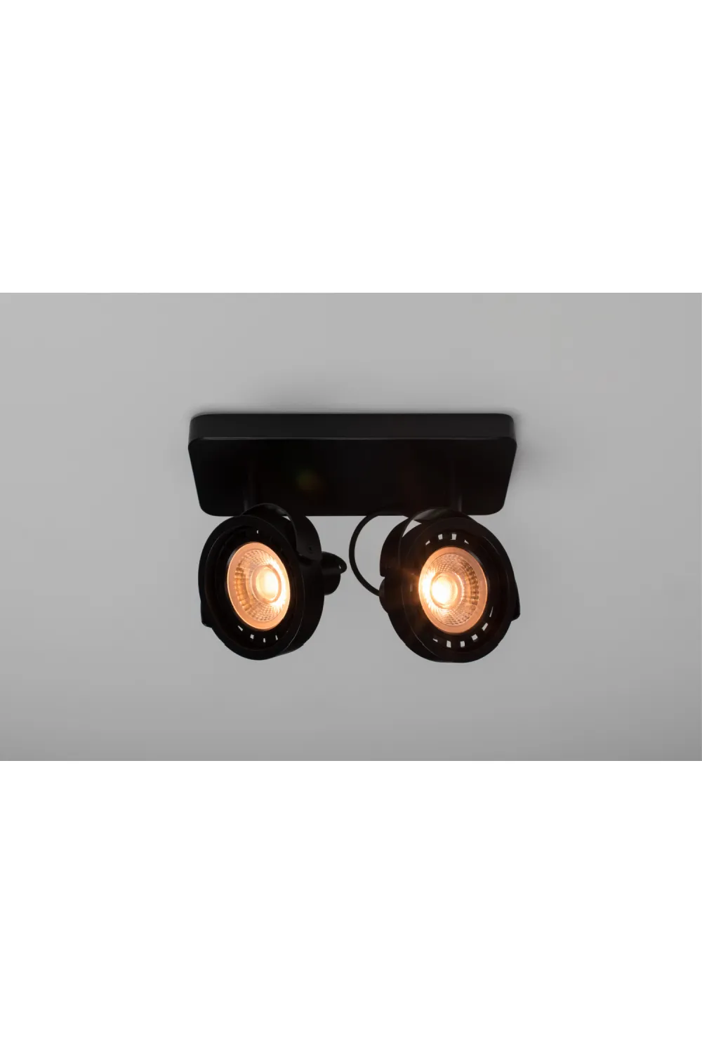 Black 2-Spotlight Ceiling Lamp | Zuiver Dice