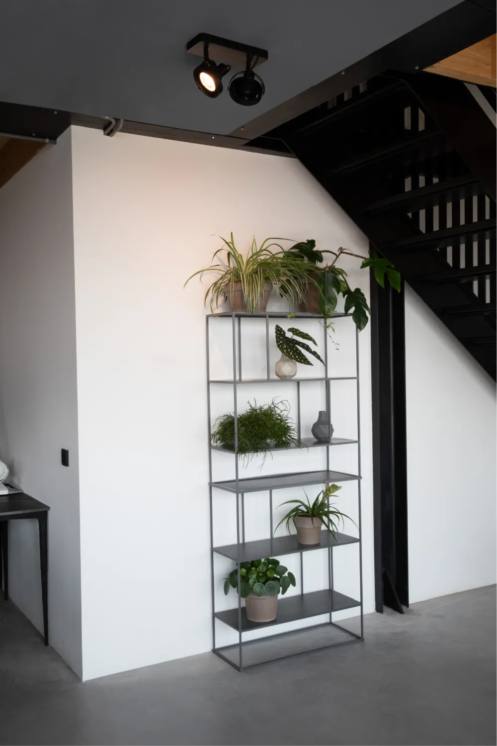 Black 2-Spotlight Ceiling Lamp | Zuiver Dice
