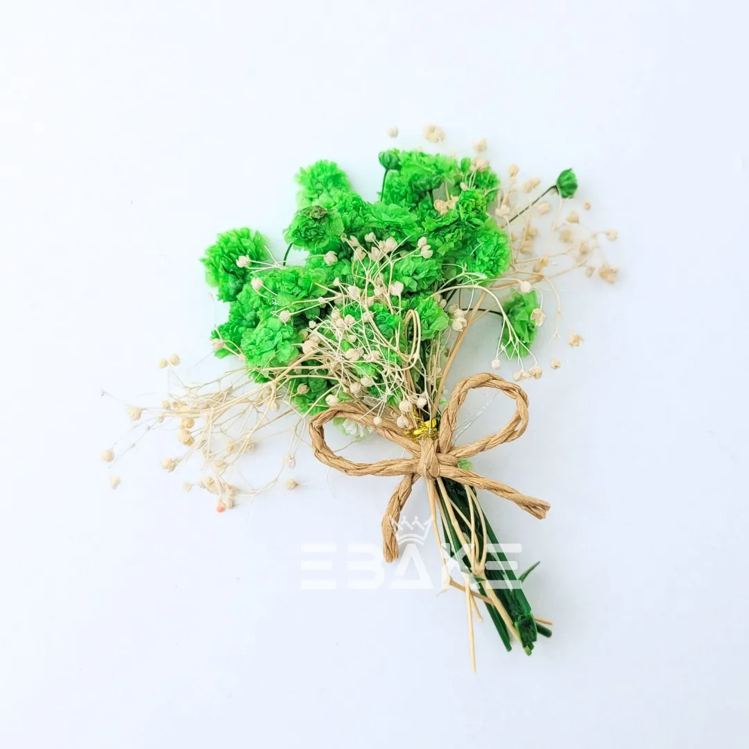 Boho Dried Nano Flower Bunch (Nano Blooms Bunch) Green
