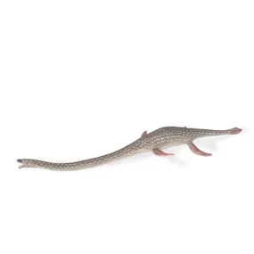 CollectA Elasmosaurus Figurine L