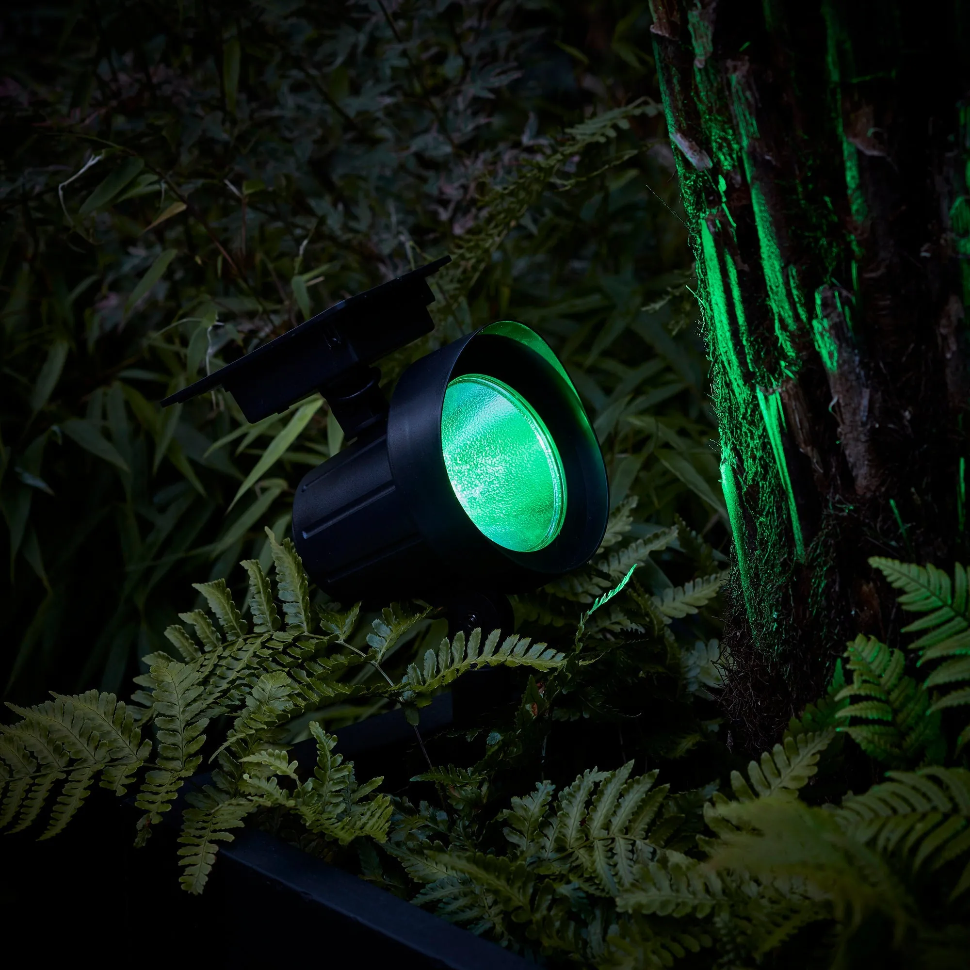 Colour Selection Solar Spotlight Duo