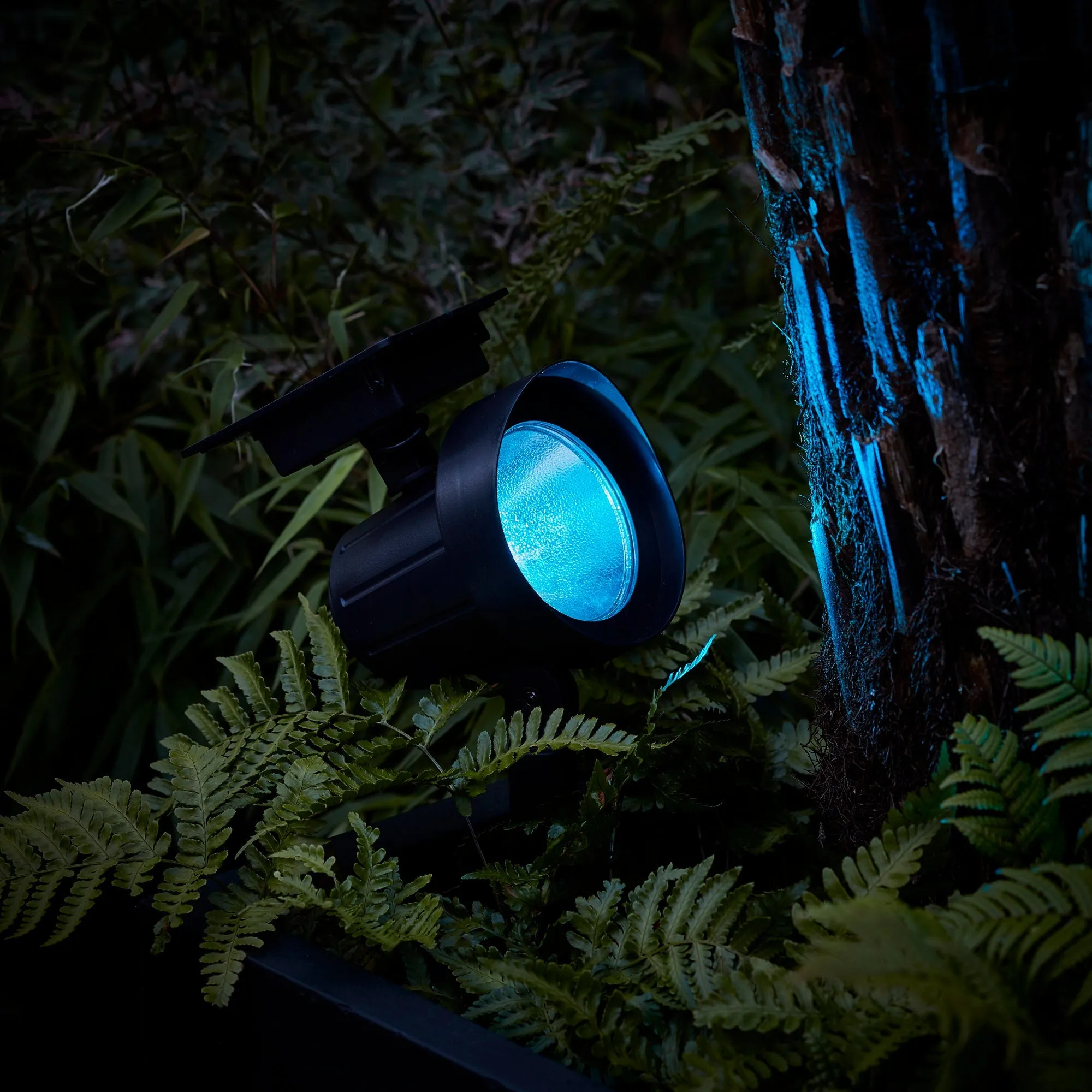 Colour Selection Solar Spotlight Duo