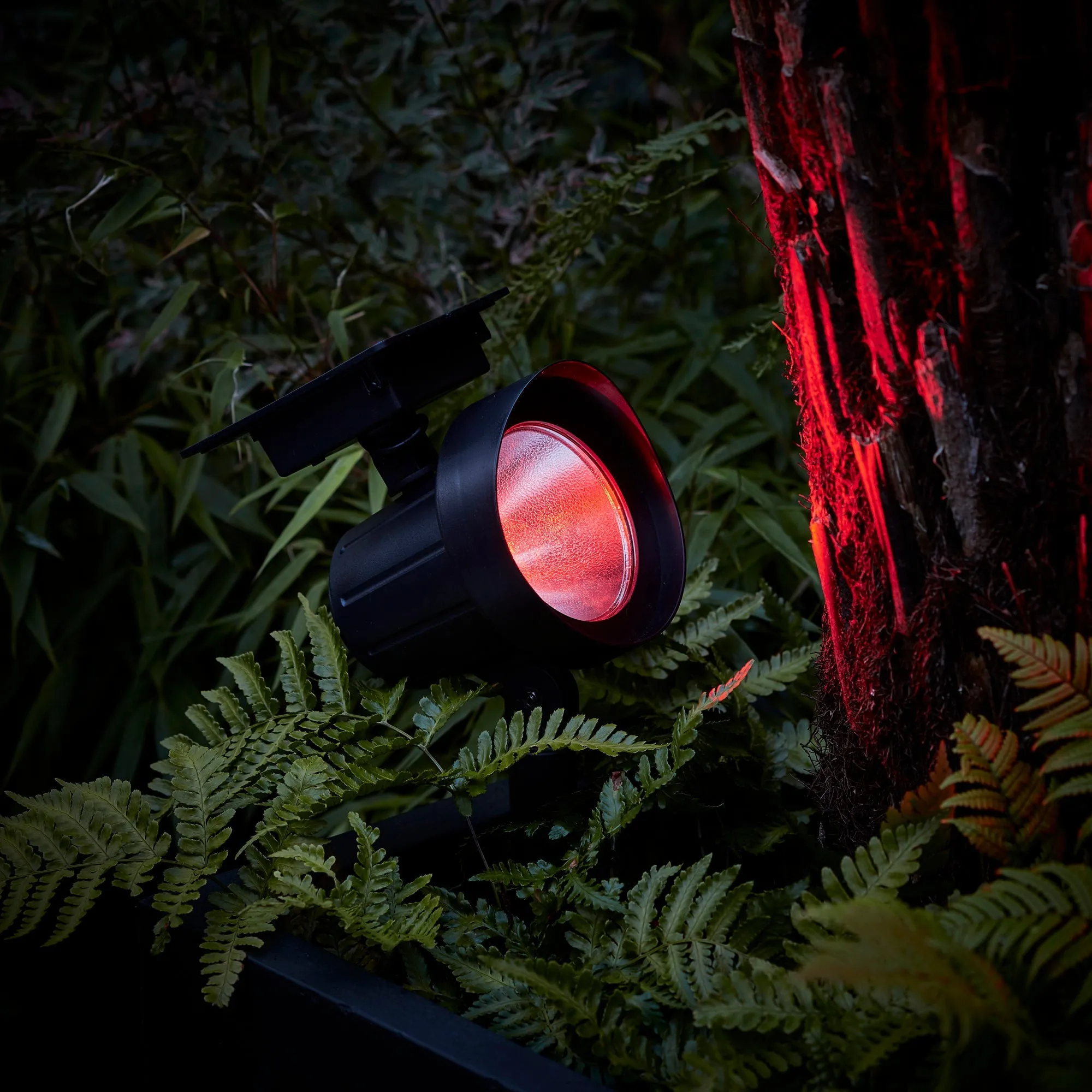 Colour Selection Solar Spotlight Duo