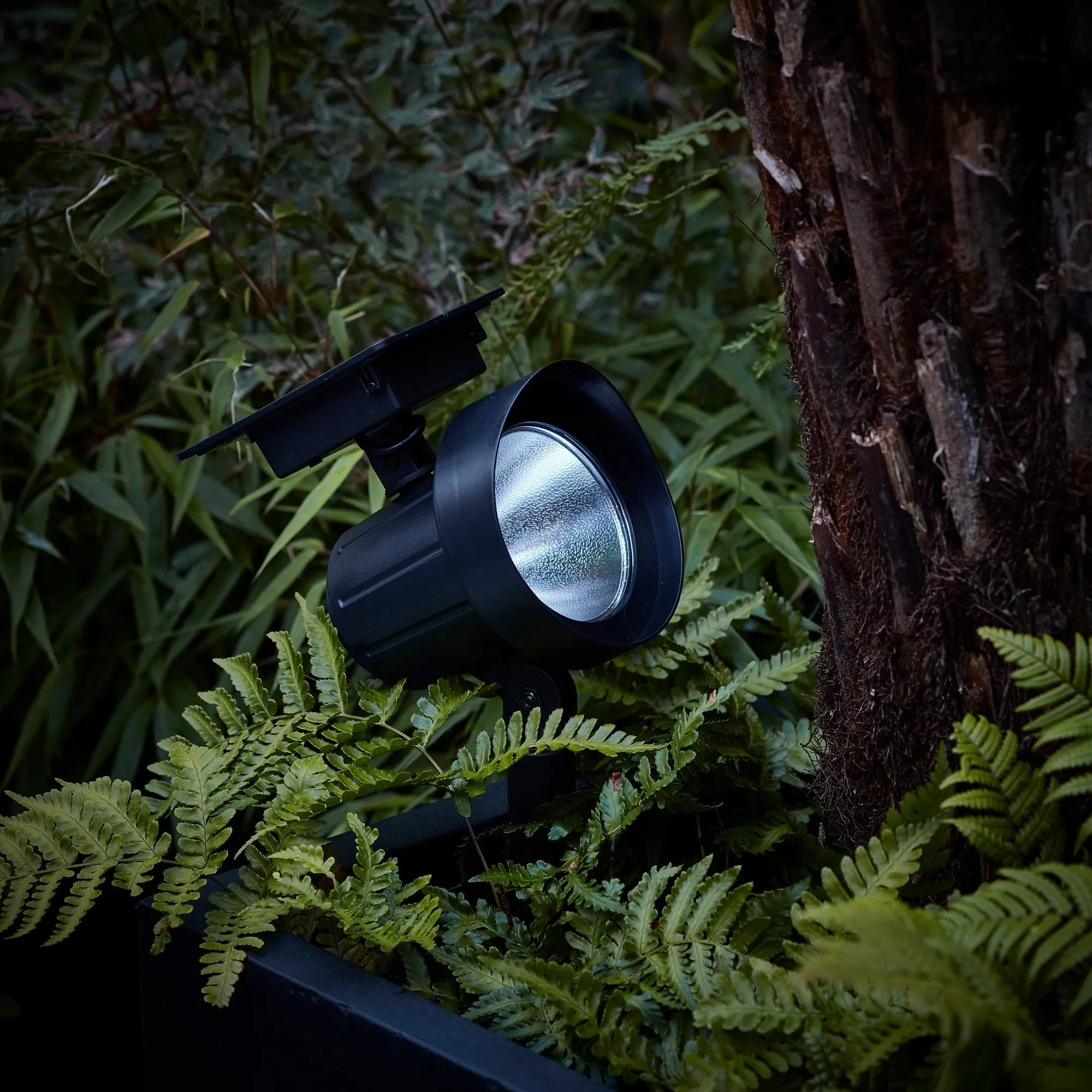 Colour Selection Solar Spotlight Duo