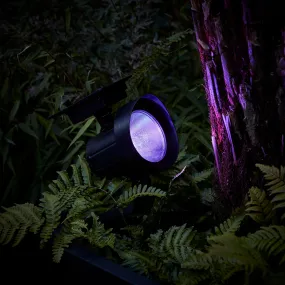 Colour Selection Solar Spotlight Duo
