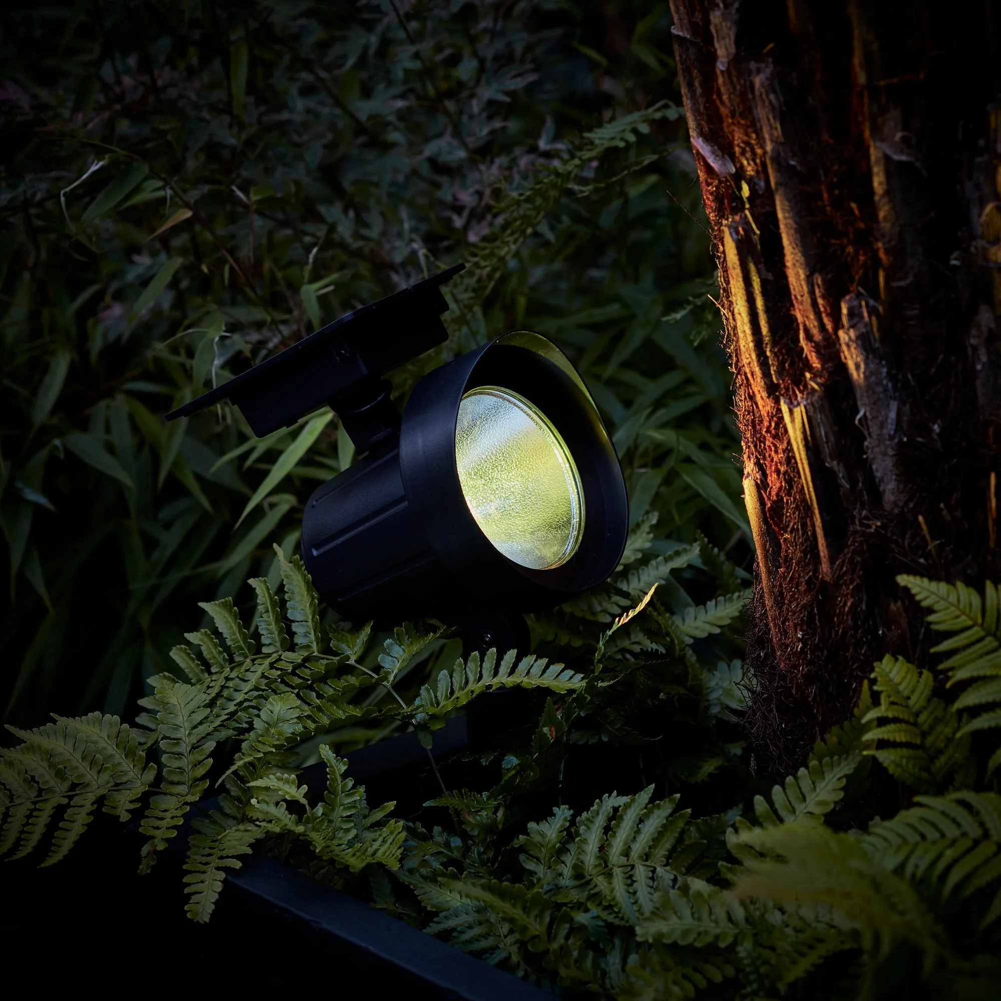 Colour Selection Solar Spotlight Duo