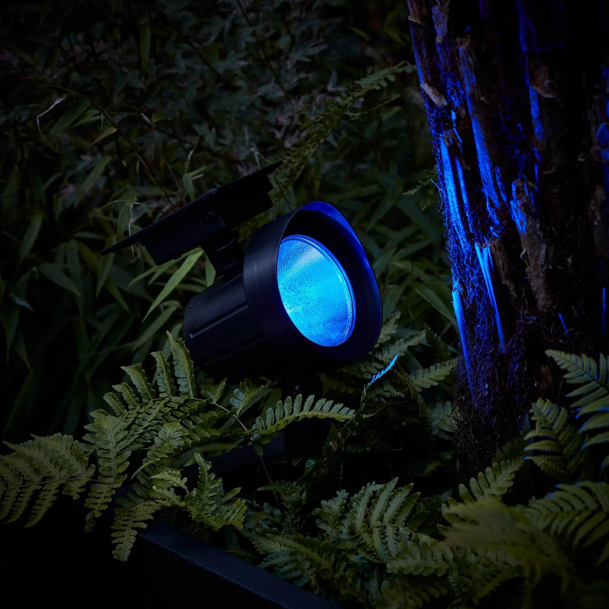 Colour Selection Solar Spotlight Duo