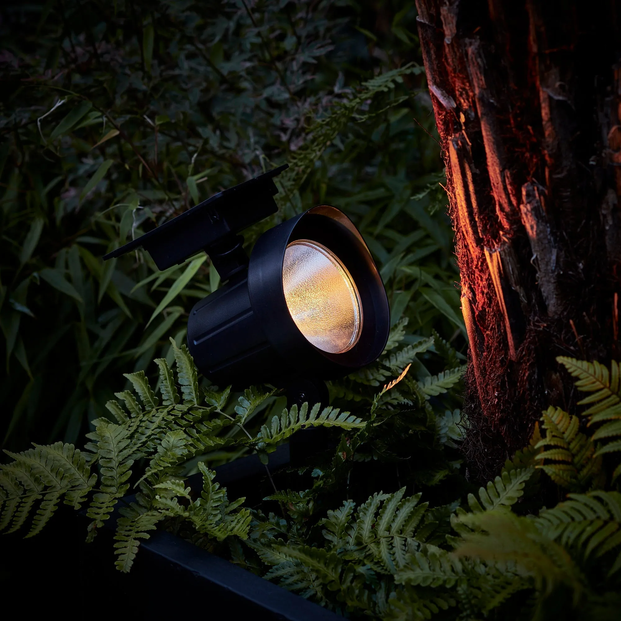 Colour Selection Solar Spotlight Duo