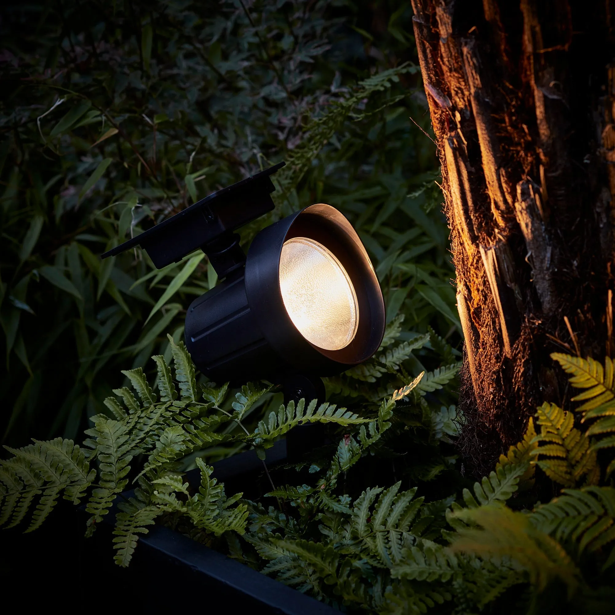 Colour Selection Solar Spotlight Duo