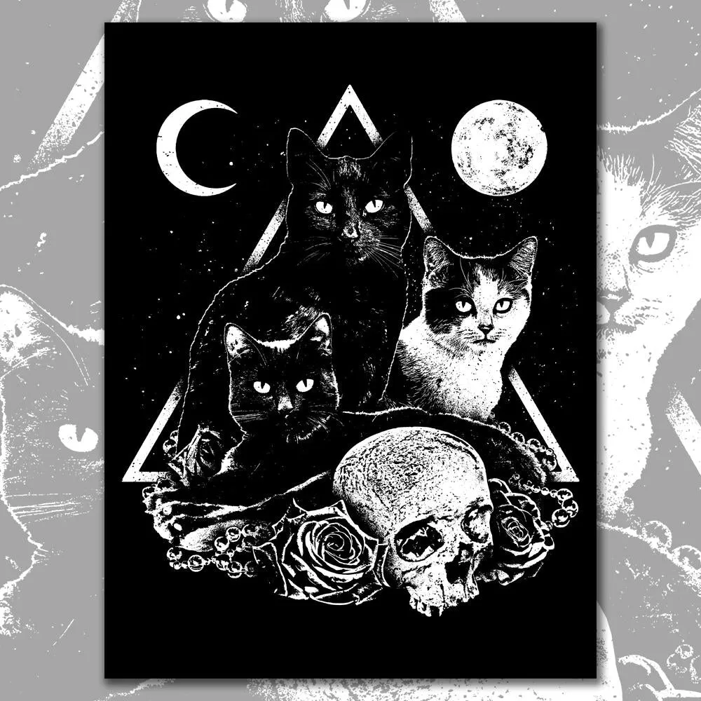 Cosmos Poster