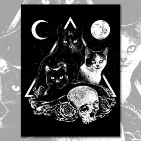 Cosmos Poster