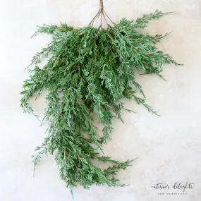 *Emerald Draping Cedar-26" long