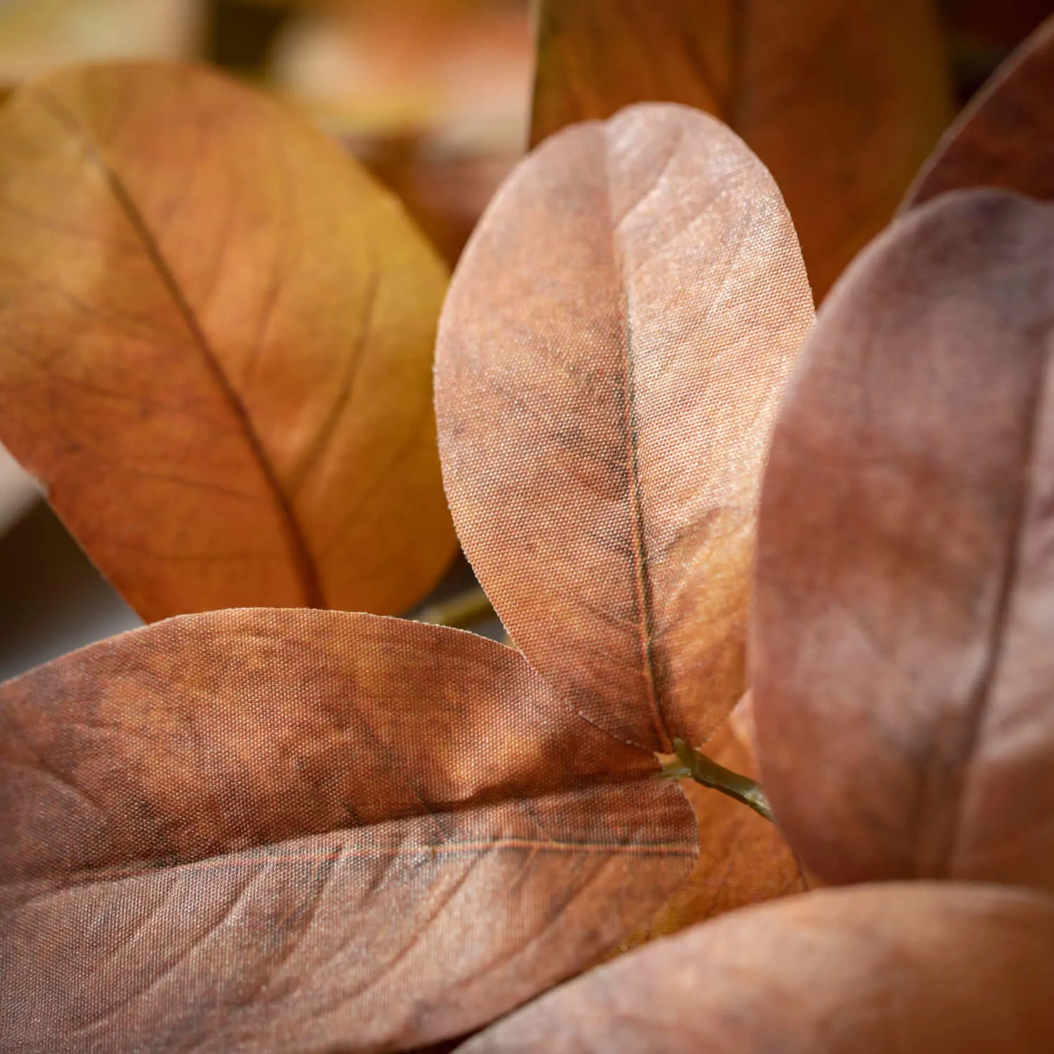 Fall Leaves Stem Set Of 2