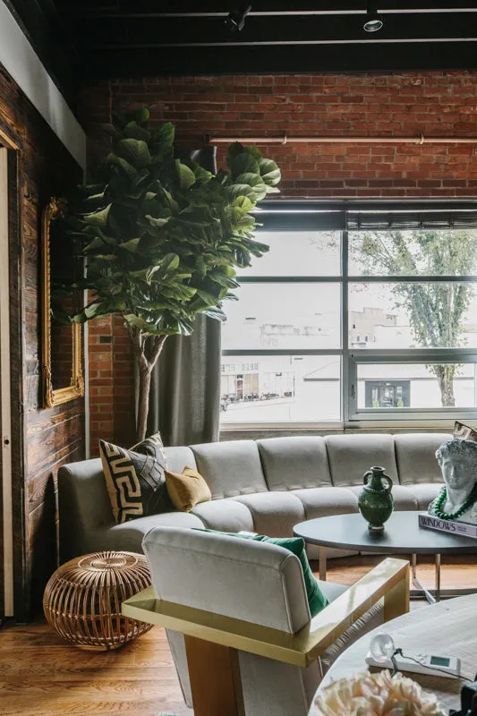 Fiddle Leaf Fig Tree 10'