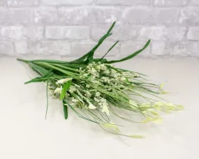 Heather Bush - White Petals