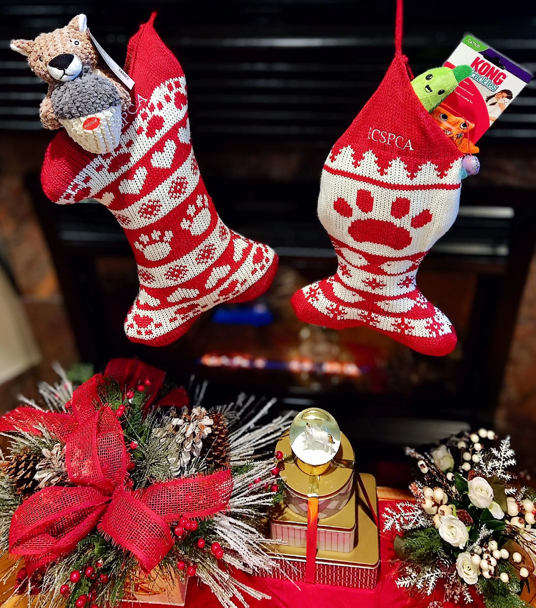 Holiday Pet Stocking