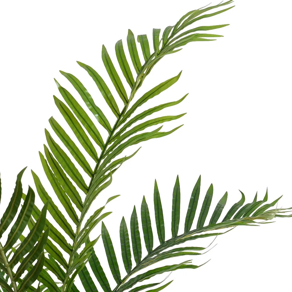 Kentia Palm Tree 48"