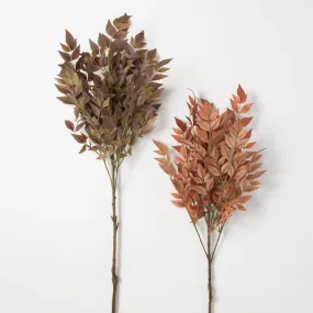 Nandina Leafy Rustic Stem