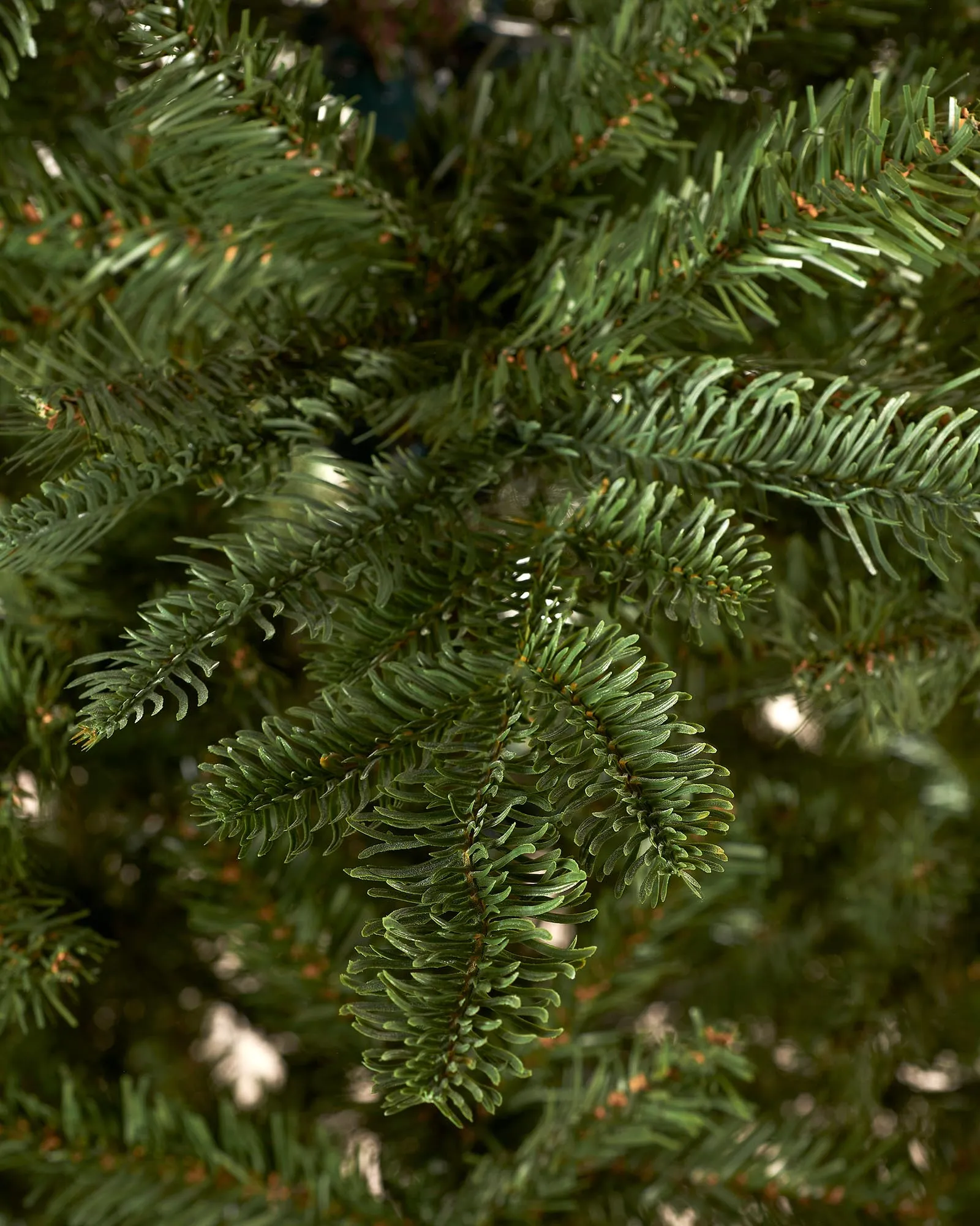 Premium 7ft Nordmann Fir Christmas Tree for Festive Home Decor