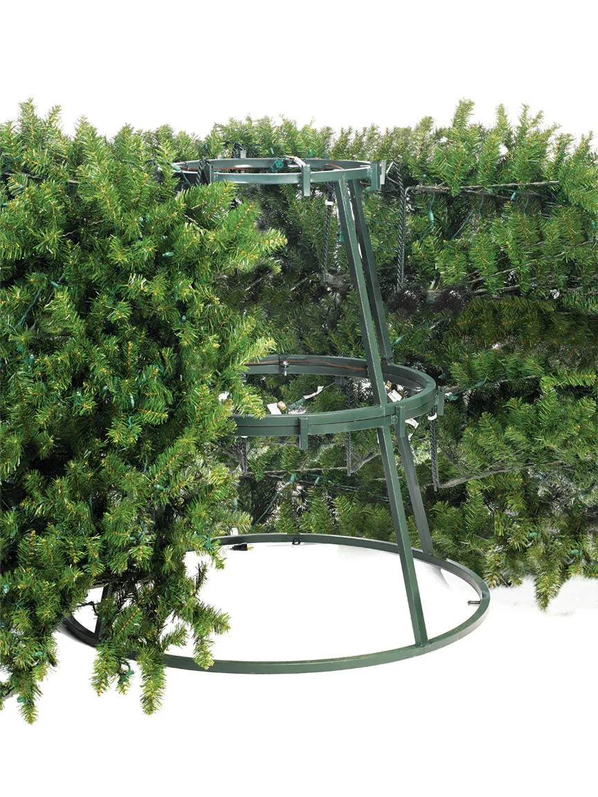 Olympia Pine Tower Tree