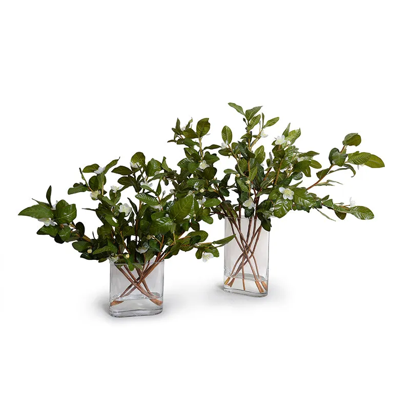 Pomegranate Leaf Arrangements