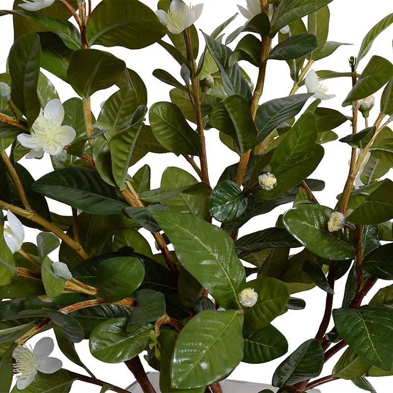 Pomegranate Leaf Arrangements