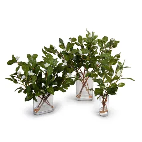 Pomegranate Leaf Arrangements