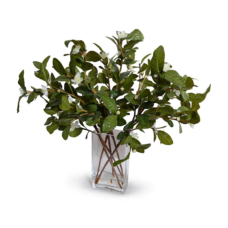 Pomegranate Leaf Arrangements