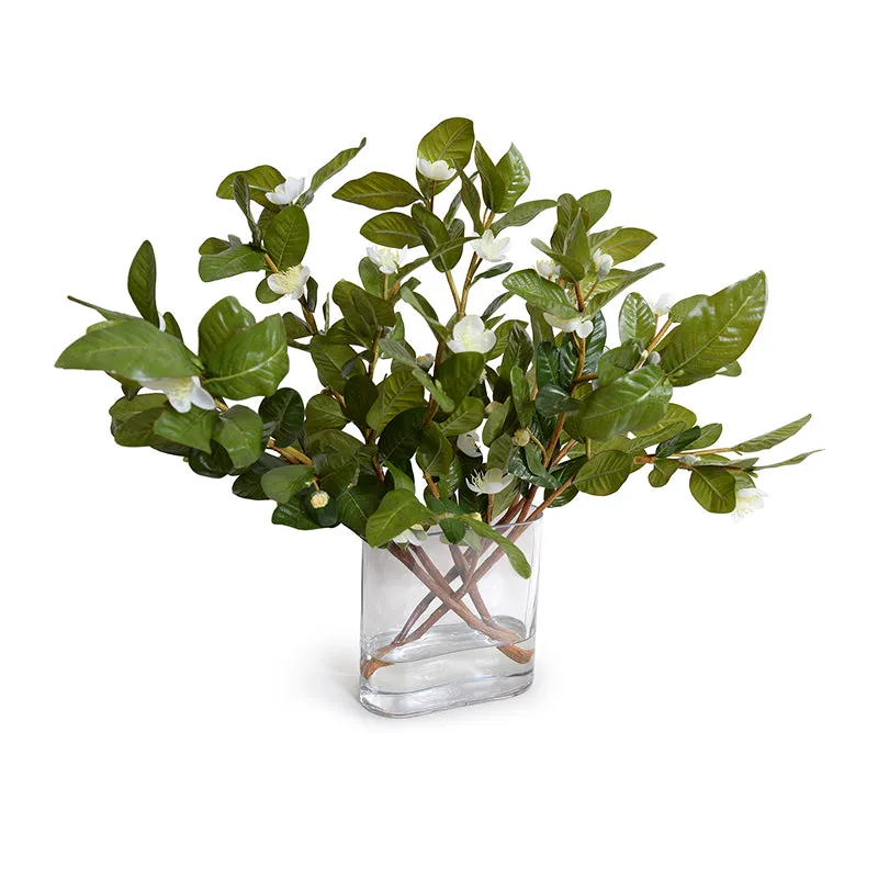 Pomegranate Leaf Arrangements