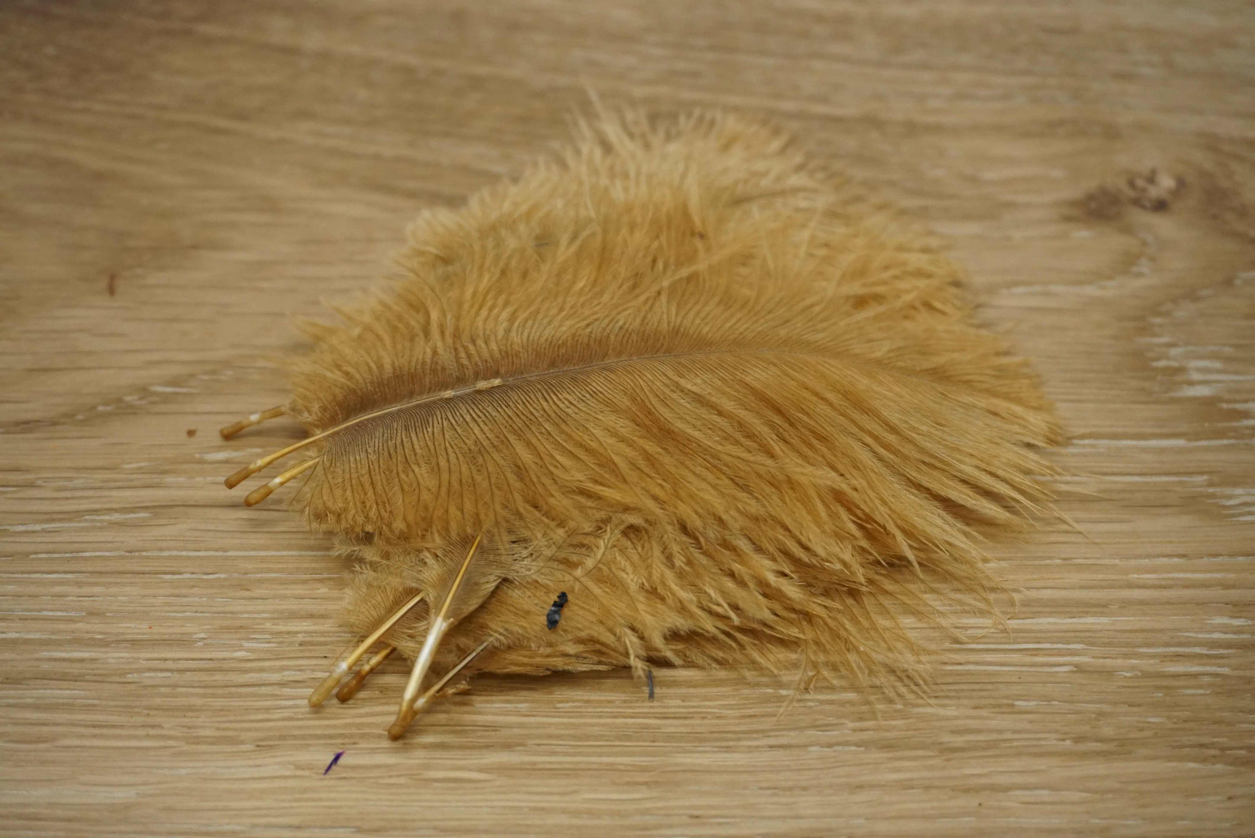 Wapsi Ostrich Marabou