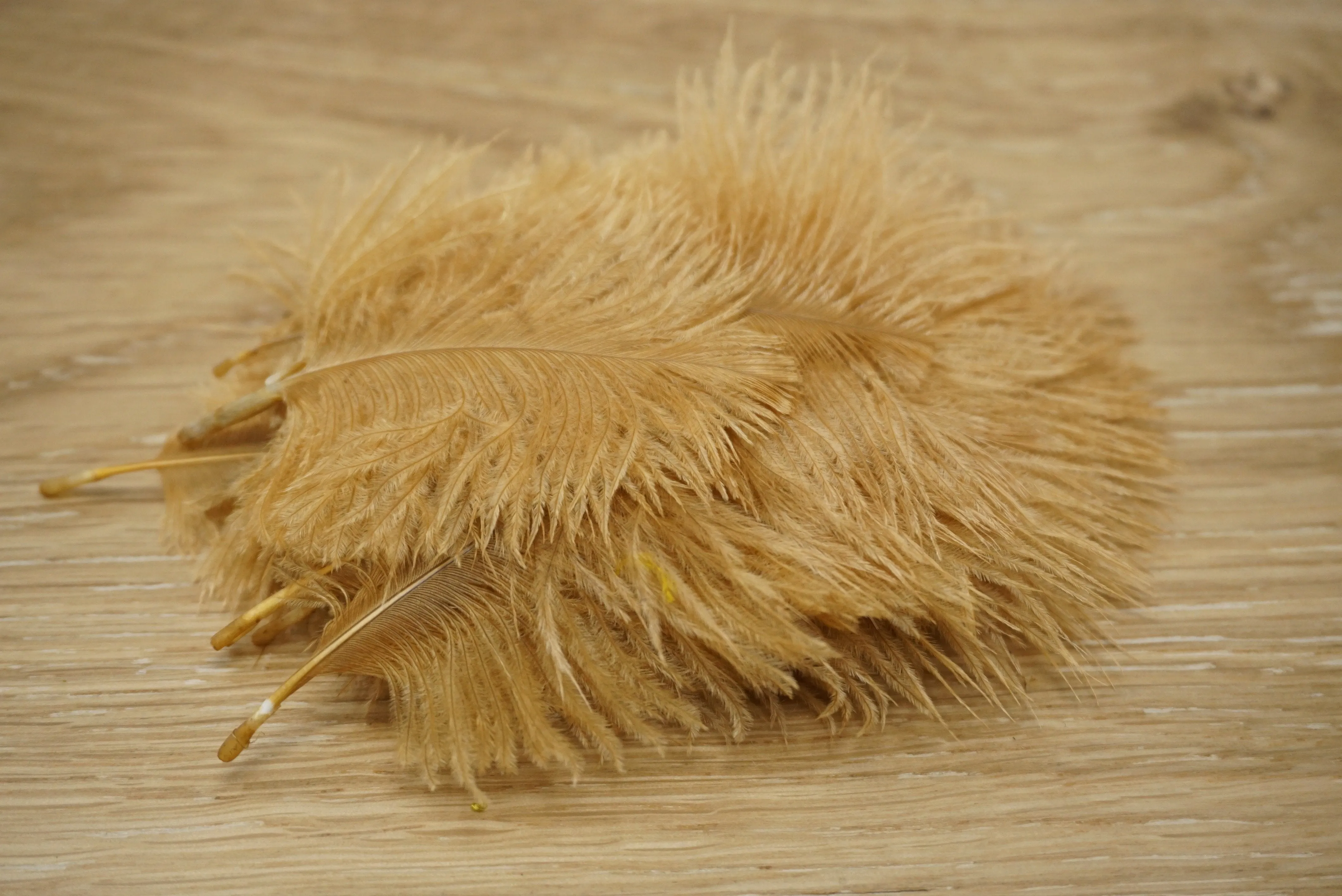 Wapsi Ostrich Marabou