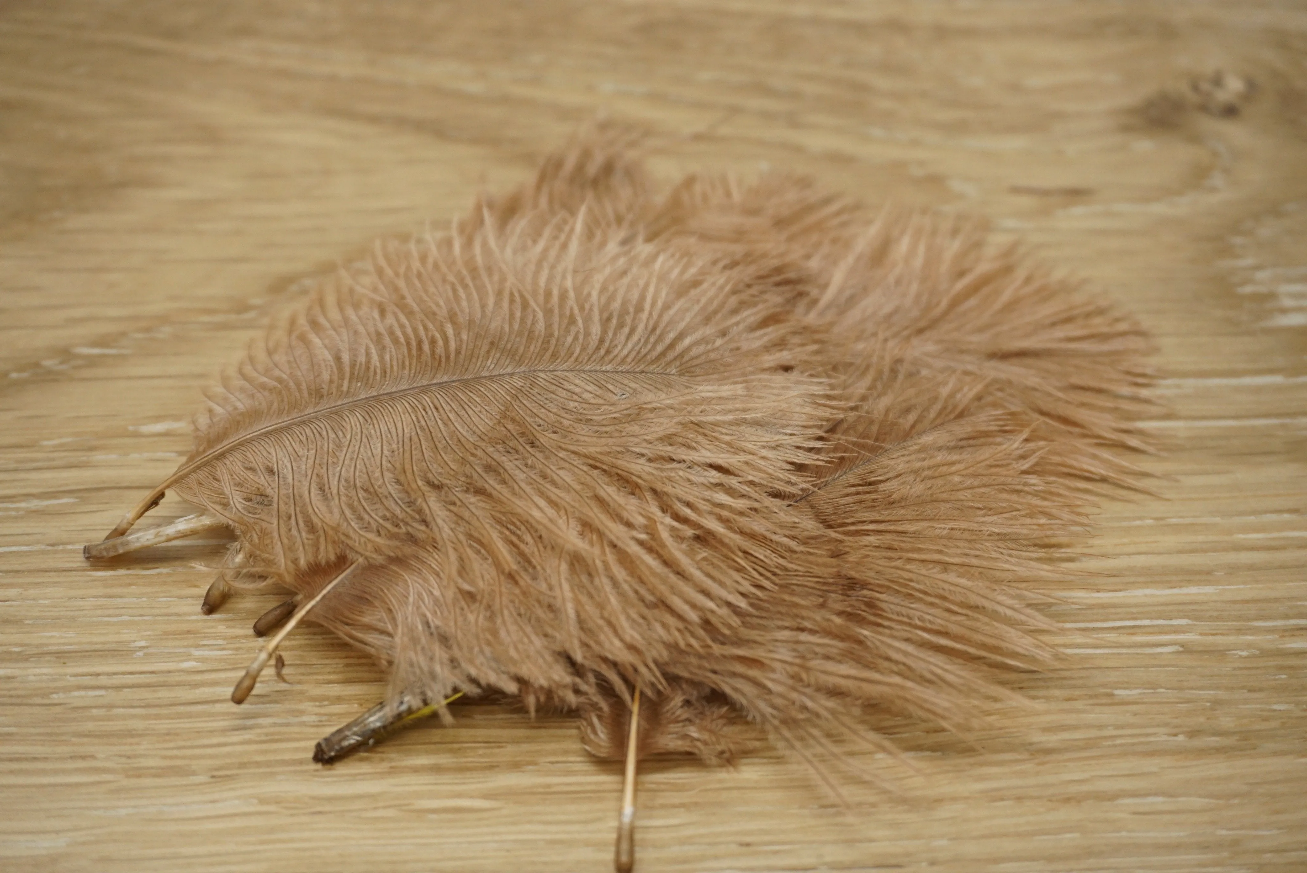 Wapsi Ostrich Marabou