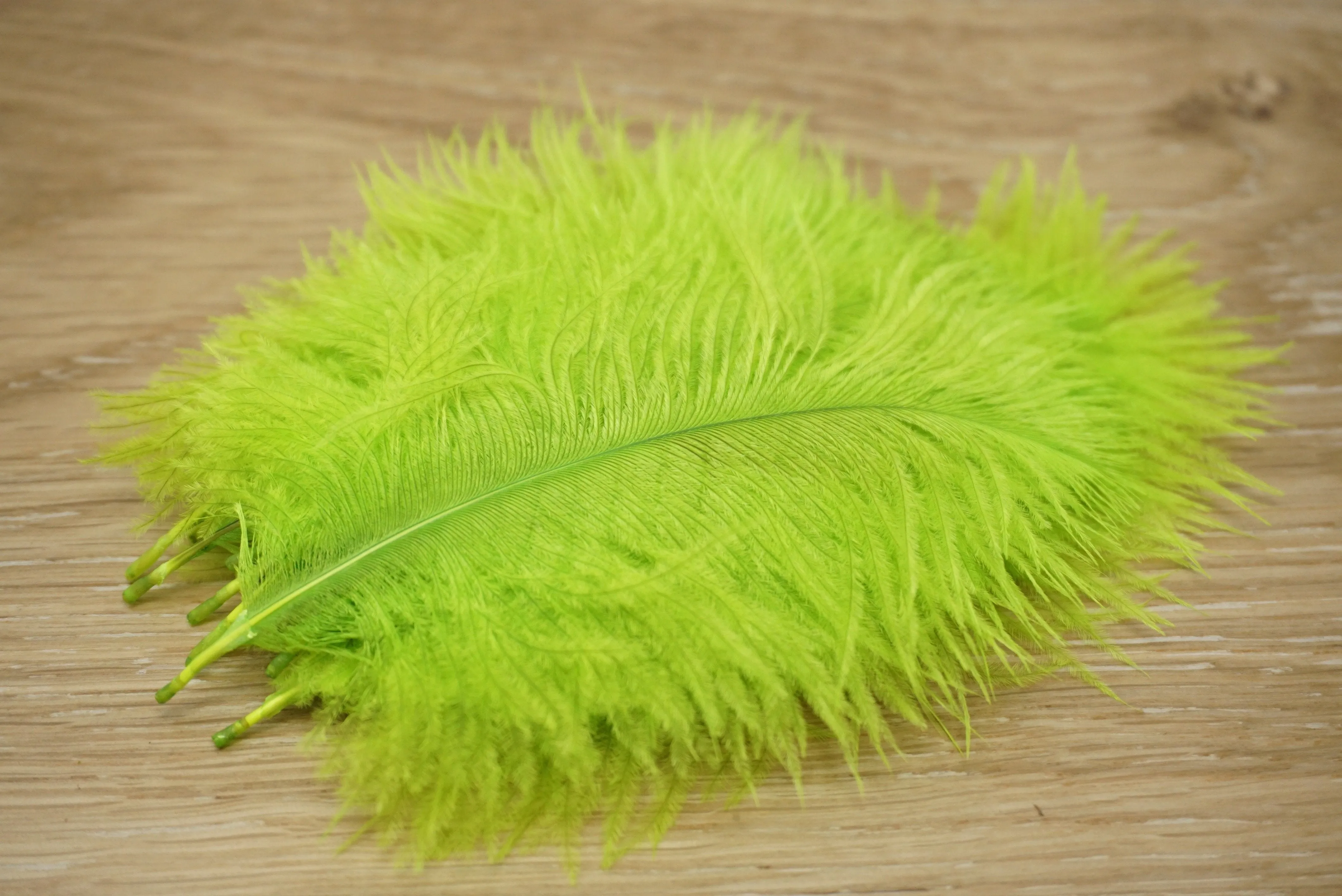 Wapsi Ostrich Marabou
